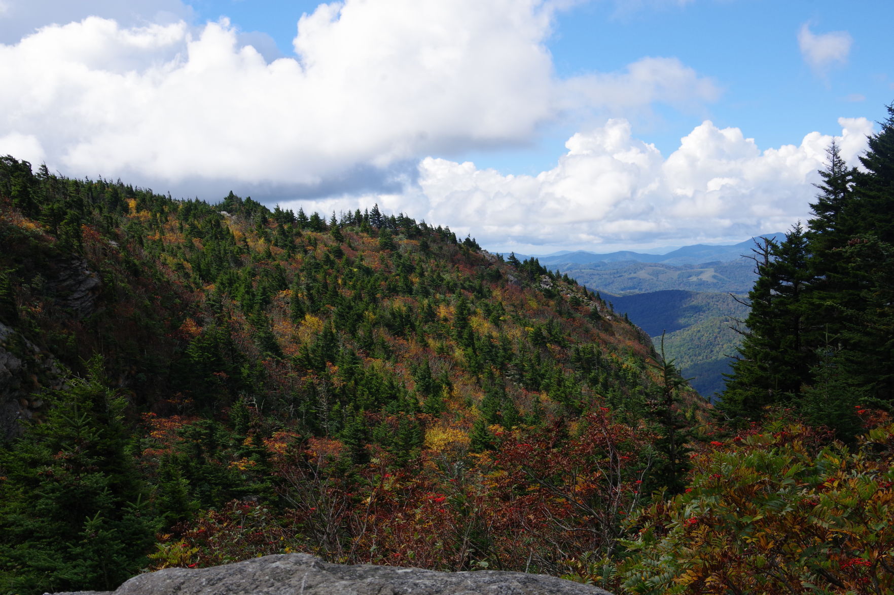 Fall Colors7
